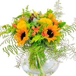 First impressions of this striking bouquet are akin to stepping into sunlight near Romford's bustling Liberty Shopping Centre-a wave of yellow and orange radiance greeted by the towering presence of sunflowers. Their broad golden petals and richly textured brown centers form the focal point, ringed by butter-yellow roses that spiral with poised, classical elegance. Glossy red Hypericum berries nestle in the foliage, catching the light like sweet surprises found in local Romford gardens. The lush arrangement is rounded out by a thoughtful array of greenery: airy springs of goldenrod and delicate ferns, their feathery fronds cascading in soft arcs, provide both texture and gentle motion. Eucalyptus leaves, in subtle blue-green tones, peek between the blooms, their distinctive oval shapes imparting a fragrant freshness. All this abundance is gathered in a crystal-clear, round glass vase, which spotlights the vigorous stems and offers a sense of balance and modernity. The bouquet's aroma is subtle yet lively-a whisper of floral sweetness with undertones of country air, much like a summer stroll through Bedfords Park. Perfect for commemorating milestones, adorning a birthday table, or expressing gratitude, this arrangement crafted by Florist Romford brings together the colours, textures, and spirit of the area in a composition that feels both generous and full of uplifting intent.
